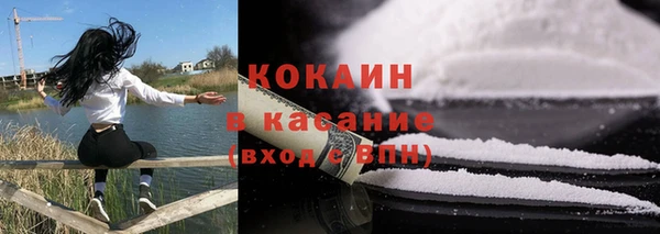 прущие грибы Лихославль