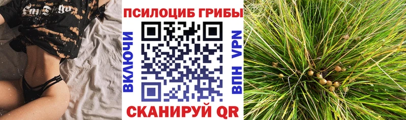 Псилоцибиновые грибы прущие грибы  Можайск 